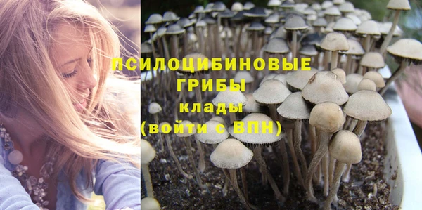 трава Бородино