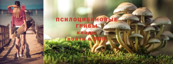 а пвп мука Богородск
